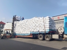 把握機(jī)遇、鉚足干勁、承勢(shì)而上