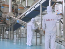 2025年的第一個(gè)月，承德亞歐果仁有限公司在山杏產(chǎn)業(yè)的道路上持續(xù)奮進(jìn)，展現(xiàn)出蓬勃的發(fā)展活力。